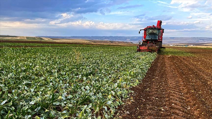 Çiftçiye 56 Milyon TL Tarımsal Destek! 3