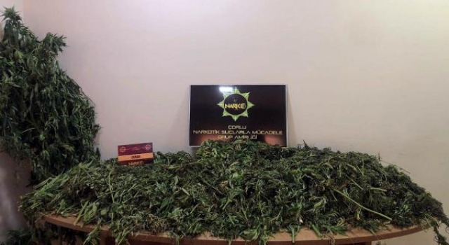 Tekirdağ’daki ’çiftlik’ operasyonunda 2 tutuklama