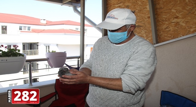 Çerkezköy'de yaralı halde bulunan güvercin tedavi edilecek