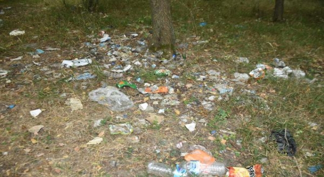 Edirne’de girişi 2 aydır yasak olan ormanlık alanı çöplüğe çevirdiler