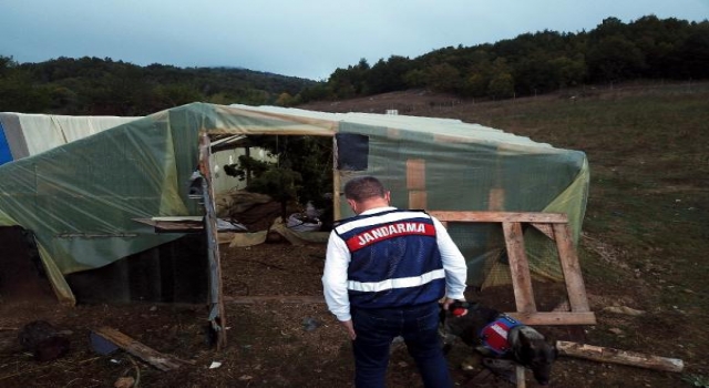 Kırklareli’de çiftlik evine uyuşturucu operasyonu