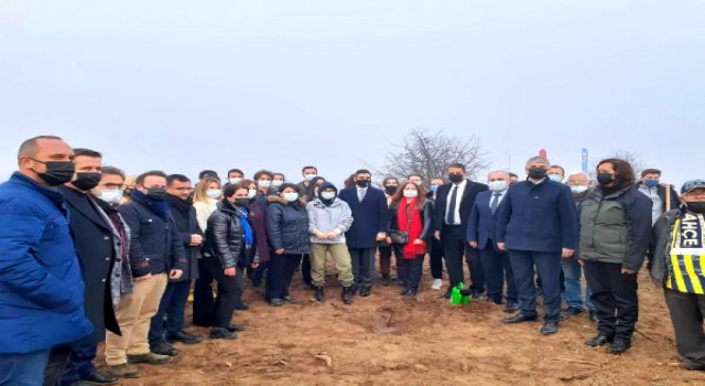 Edirne’ye, ‘Tıbbi aromatik bitkiler ormanı’ kuruluyor