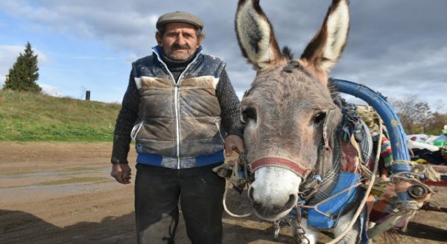 86 yaşında, eşeği ve köpeğiyle sokaklarda  hurda toplayarak geçimini sağlıyor