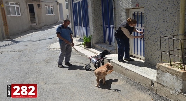 Köpeğine otomobille çarparak ölümüne neden olan sürücüden şikayetçi oldu