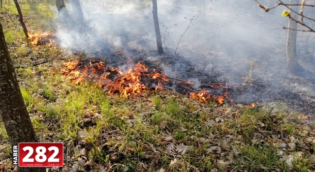 Tekirdağ'da ormanlık alanda çıkan yangın kontrol altına alındı