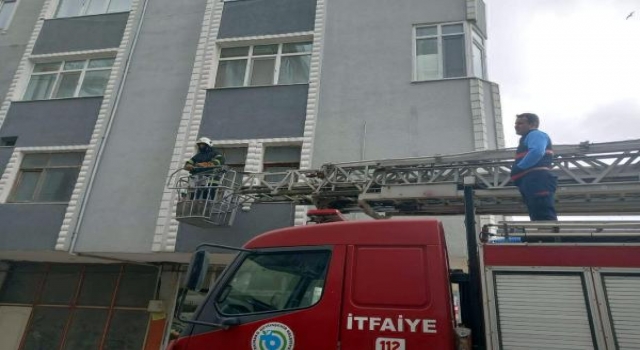 Kayıp kedi ’Portakal’ için seferber oldular