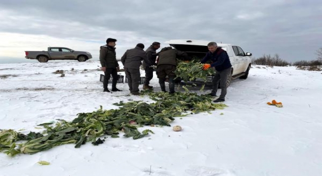 Tekirdağ’da yaban hayvanlarına 2 ton yem bırakıldı
