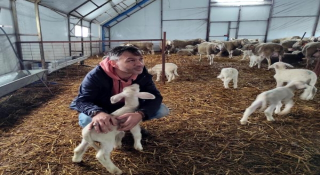 Hobi olarak başladı, koyun çiftliği kurdu