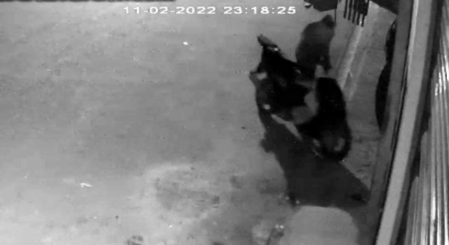 47 bin liralık malzeme çalan şüpheliyi, motosikleti ele verdi