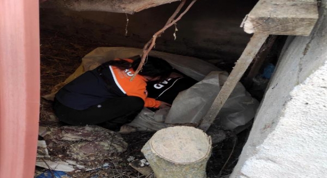 Edirne’de kaybolan yaşlı kadın, jandarma ve AFAD ekiplerince bulundu
