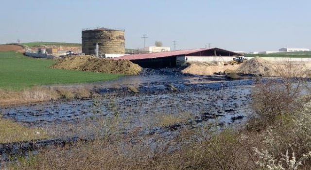 Edirne’de fuel oil kazanı patladı; tonlarca yakıt çevreye yayıldı