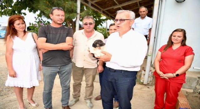 Keşan’da minibüs ve taksici esnafı köpek sahiplendi
