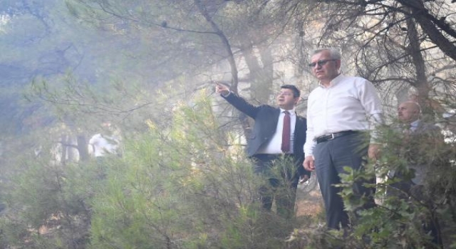 Edirne’de çıkan orman yangını söndürüldü (2)