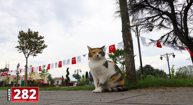 Trakya, sokağa çıkma kısıtlamasıyla sessizliğe büründü