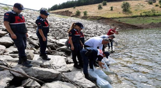 Kırklareli’de göletlere 30 bin yavru balık bırakıldı