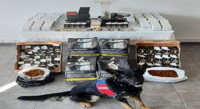 Kırklareli’de kaçak ürünleri çay ve tütün tespit köpeği ’Yıldız’ buldu