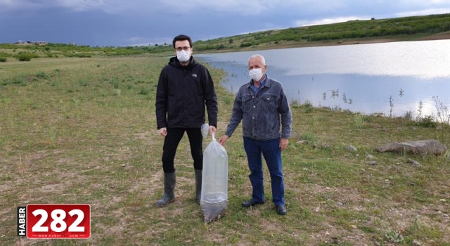 Tekirdağ'da su kaynaklarına 95 bin sazan yavrusu bırakıldı