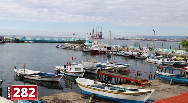 Kısıtlamanın kaldırılmasının ardından tekne balıkçılarının yüzü "istavrit" ile güldü