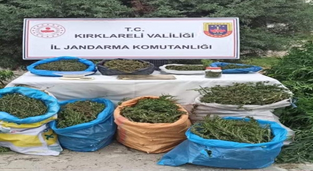 Kırklareli’de uyuşturucu operasyonu: 2 gözaltı