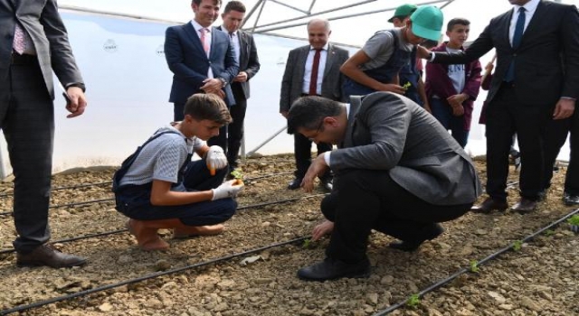 Vali Kırbıyık, seralarda öğrencilerle marul fidanı ekti