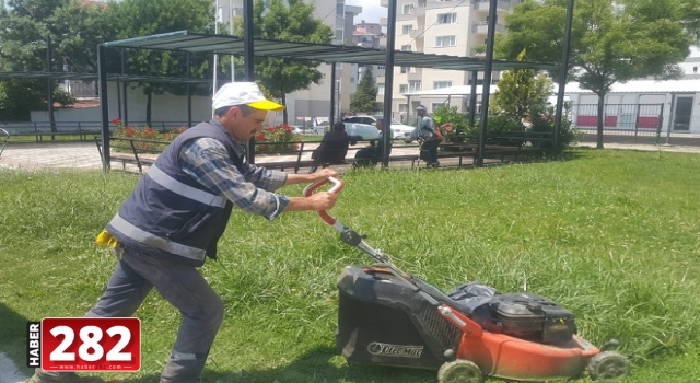 Yeşil alanlar ile parklarda ot biçme ve temizlik çalışmaları sürüyor