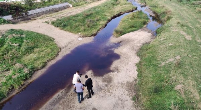 Edirne’de siyah akan derede balık ölümleri yaşandı (2)