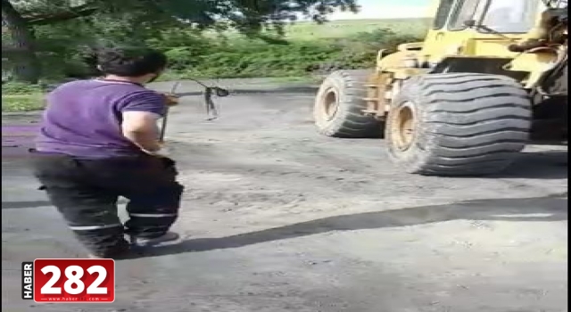 Tekirdağ'da iş makinesinin içine giren yılan güçlükle çıkarıldı