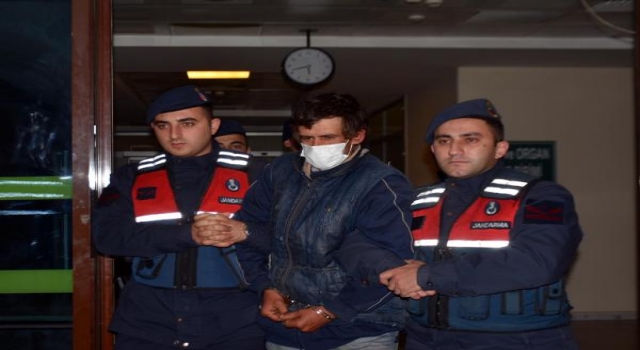 Bulgar polisin öldürülmesinde şüpheli 2 kardeş, ormanda yakalandı/ Ek fotoğraflar
