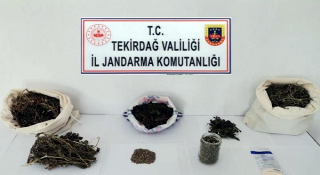 Tekirdağ jandarmasının uyuşturucu operasyonunda 3 tutuklama