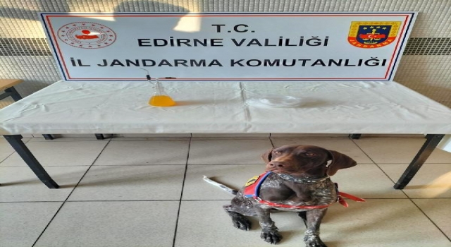 Edirne’de 100 gram metamfetamin ele geçirildi; 2 gözaltı