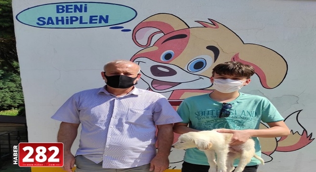 Sevimli Yavrularımız Yeni Ailelerine Kavuştu