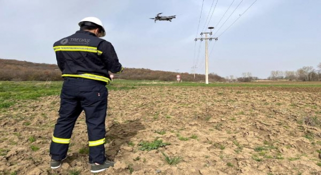 Trakya’daki leylek yuvalarının bakımı yapılıyor