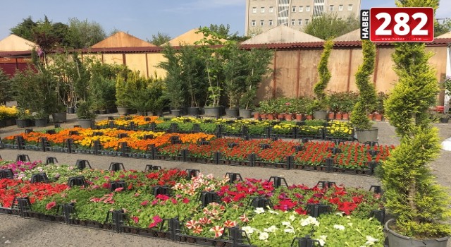 Trakya’nın Çiçeği Çorlu, Botanik Fest ile Orion’da Renkleniyor!