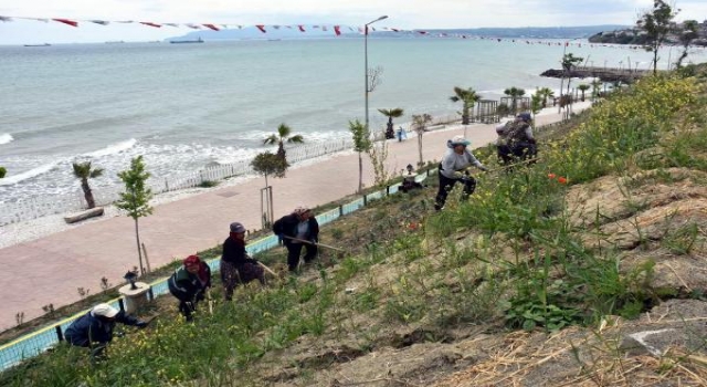Süleymanpaşa sahili yaza hazırlanıyor