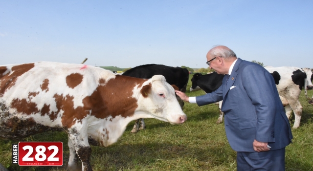 TÜRKİYE’NİN EN BÜYÜK MERA ISLAHI PROJESİ YÜZLERİ GÜLDÜRDÜ