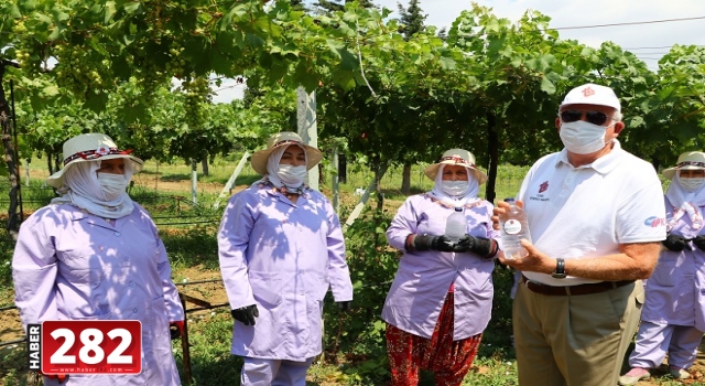 Türk Böbrek Vakfı Başkanı Erk, tarlada çalışan kadınlara su dağıttı