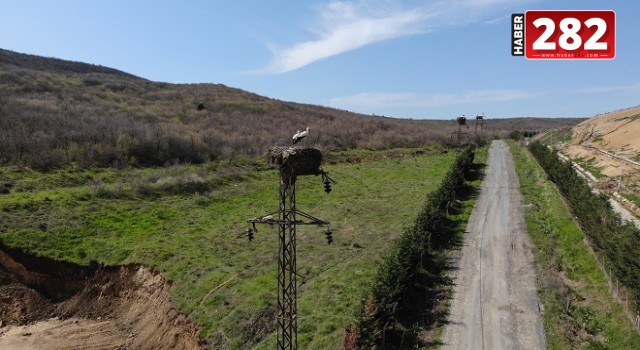 TREDAŞ, enerjisi ile hayvanlara koruma kalkanı oluyor