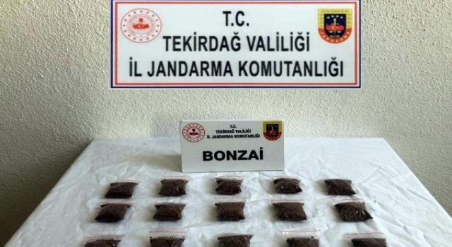 Tekirdağ’a uyuşturucu getiren şüpheli yakalandı