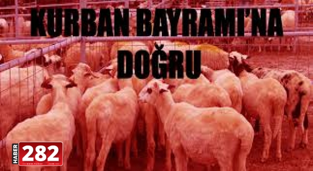 Kurban Bayramı'na doğru