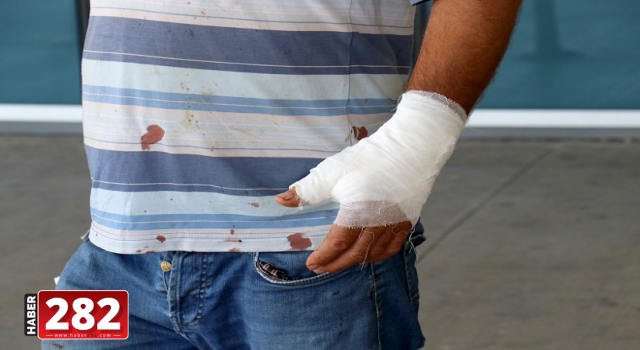Trakya'da 110 "acemi kasap" hastanelik oldu