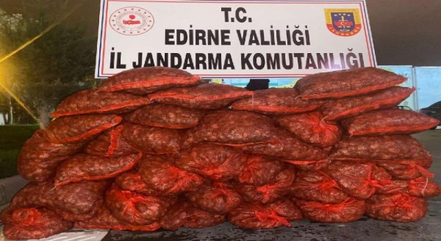 Edirne’de 600 kilo kaçak  kum midyesi ele geçirildi
