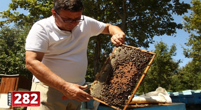 Babasından öğrendiği arıcılığı 40 yıldır sürdürüyor