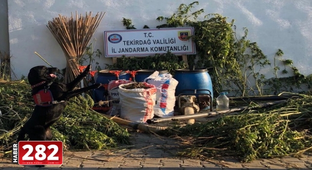 Tekirdağ'da 12 kilogram esrar ele geçirildi