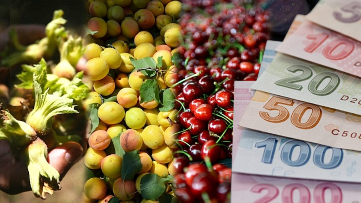 Meyvelere Yüzde 200 Zam Geldi!