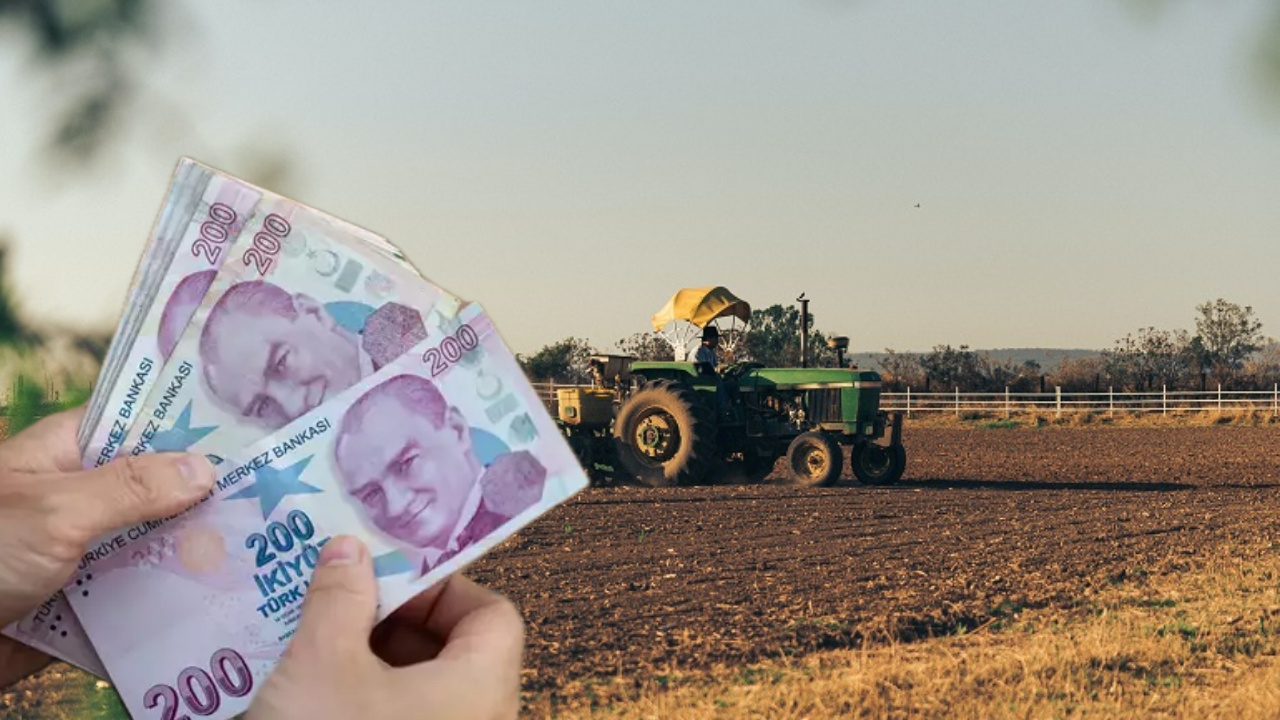 Tarımsal Destek Ödemesi Kartlara Yattı! Kırsal Kalkınma, Hububat, Sertifikalı Tohum Desteği...