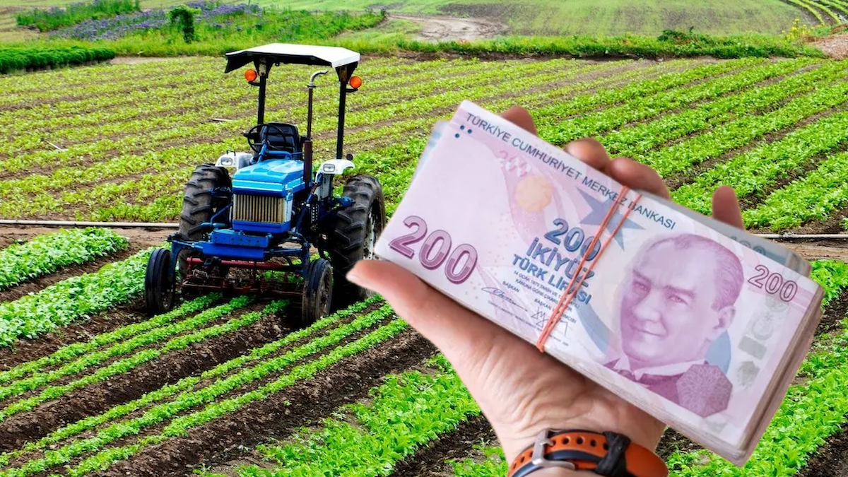 Temmuz 2025 Ücretsiz Mazot Desteği!