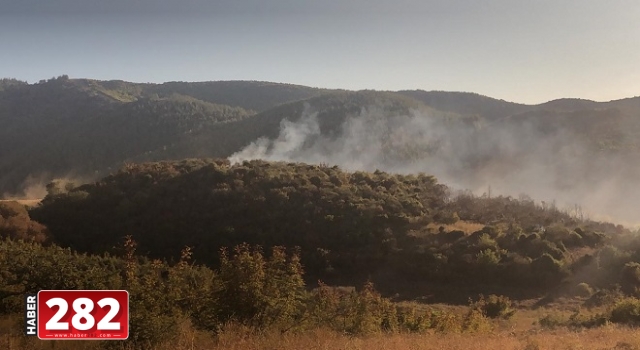 Tekirdağ'da orman yangını söndürüldü