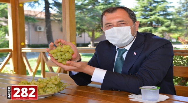 Bağcılık Araştırma Enstitüsü ürünleri Rumeli İskelesi’nde halka sunulacak