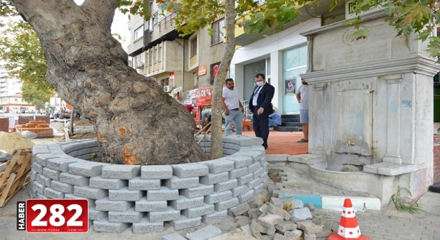 Tarihi çeşmenin çevresi bakımdan geçirildi