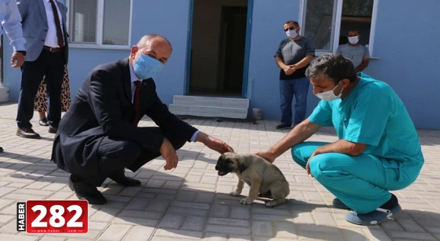 Marmaraereğlisi Sokak Hayvanlarının, Bakım Evi Yenilendi